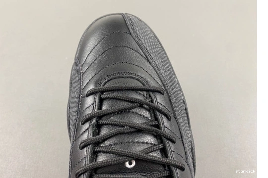 Master 130690-013  Jordan The  Retro  12 130690--013 1207